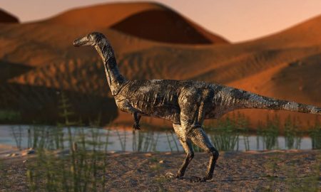 Vespersaurus paranaensis
